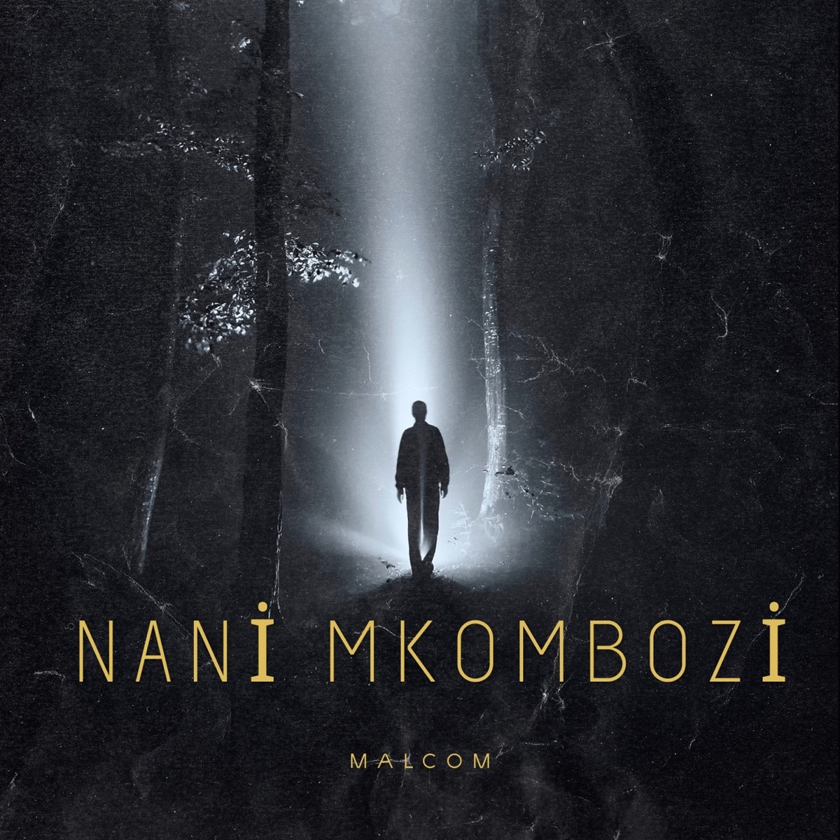 Nani Mkombozi - Single by Malcom album cover