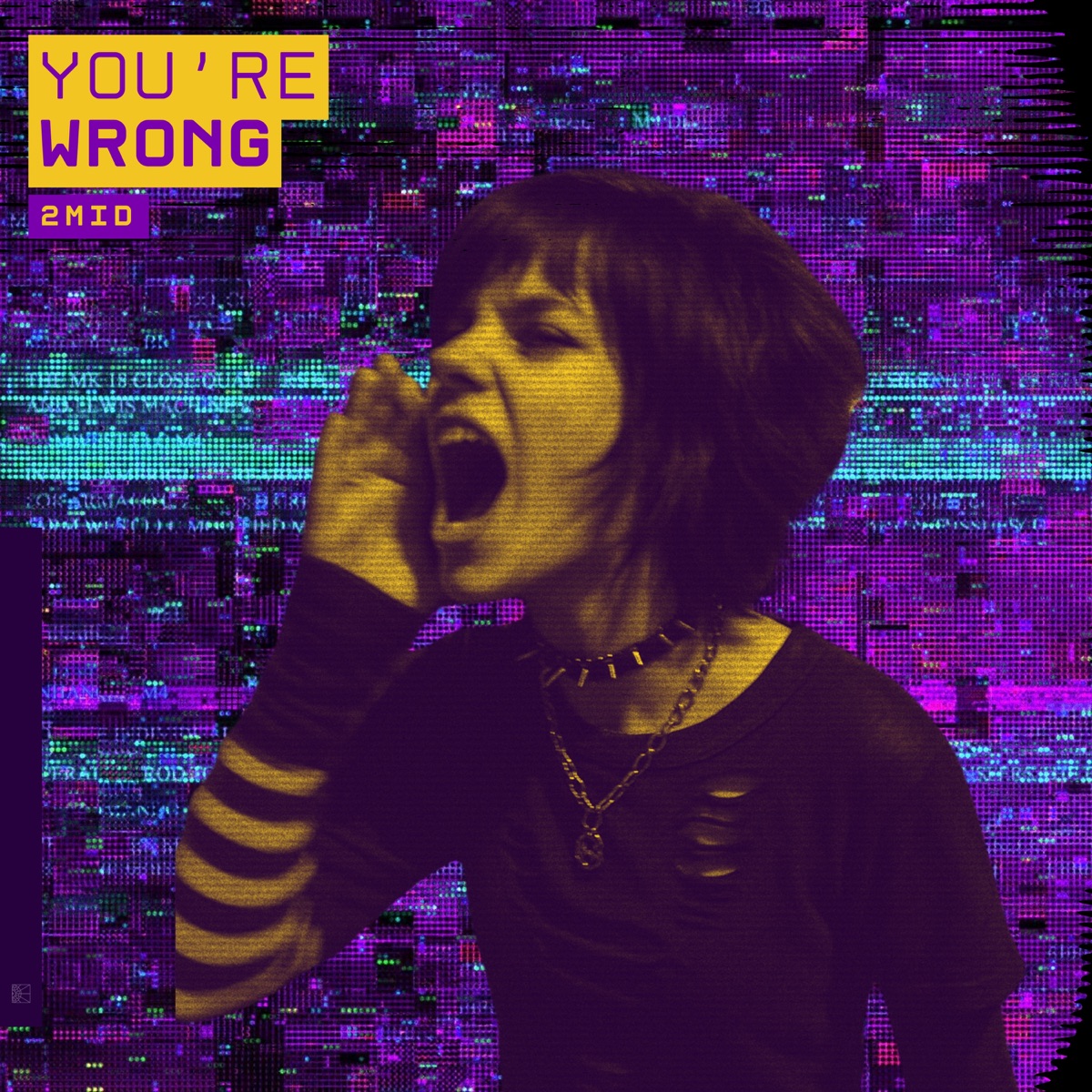 You're Wrong - Single by 2M1D album cover