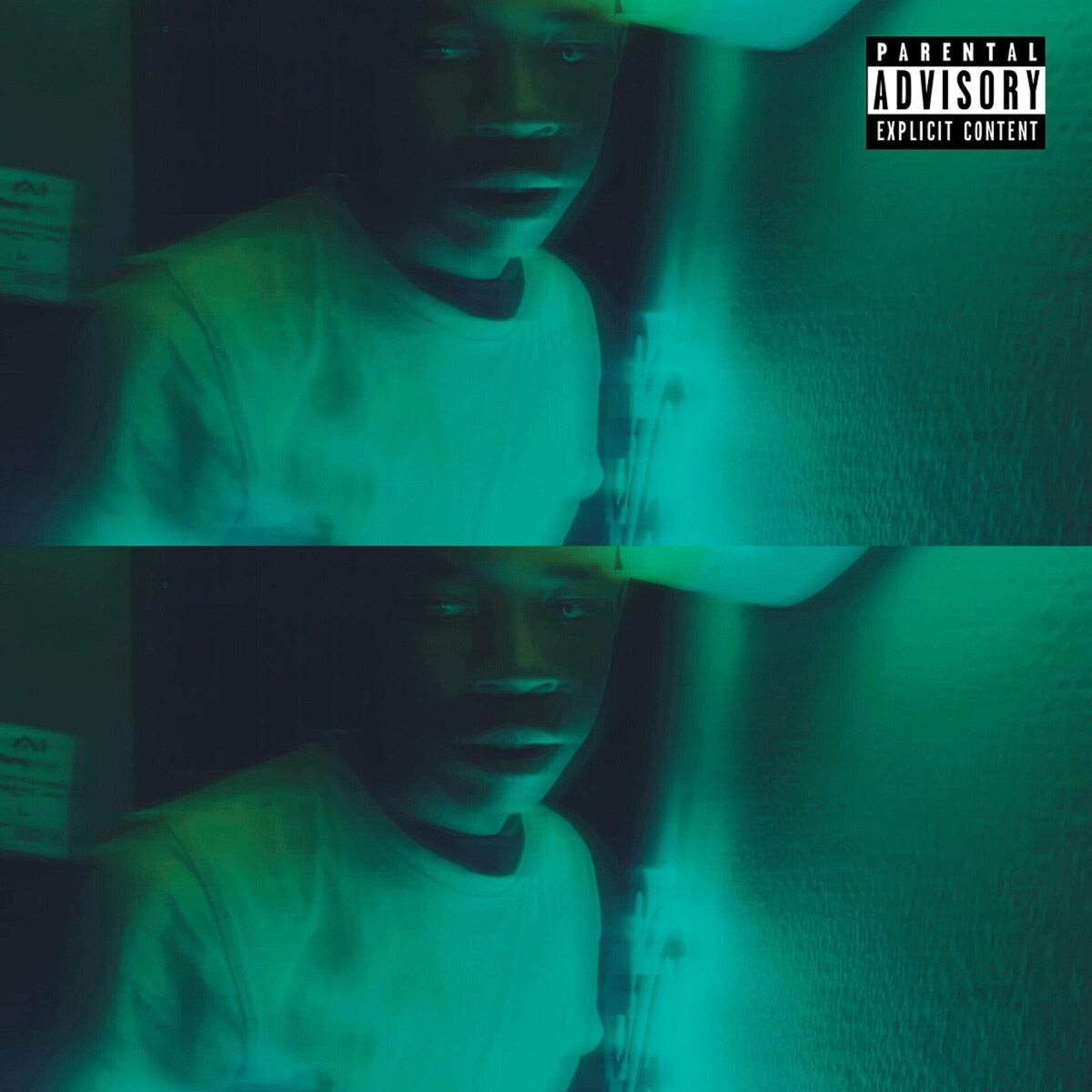 Different Timing... but Picture Me This Way! by Nova Laga album cover