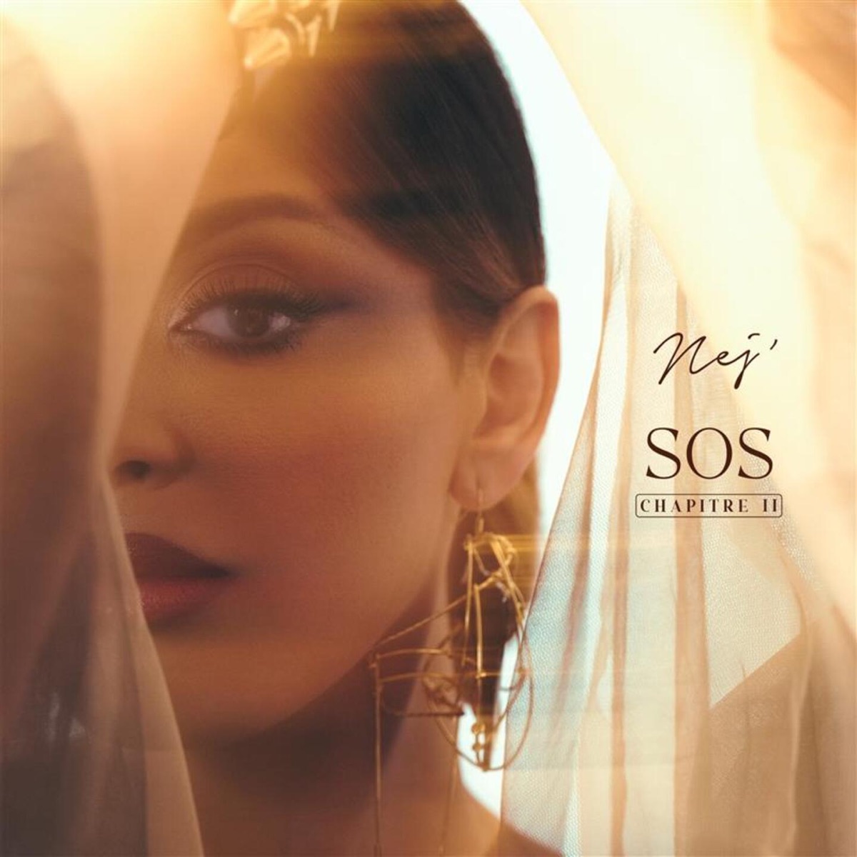 Sos (Chapitre 2) by Nej album cover