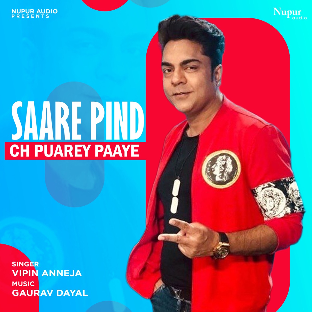 Saare Pind Ch Puarey Paaye - Single by Vipin Aneja & Gaurav Dayal album cover