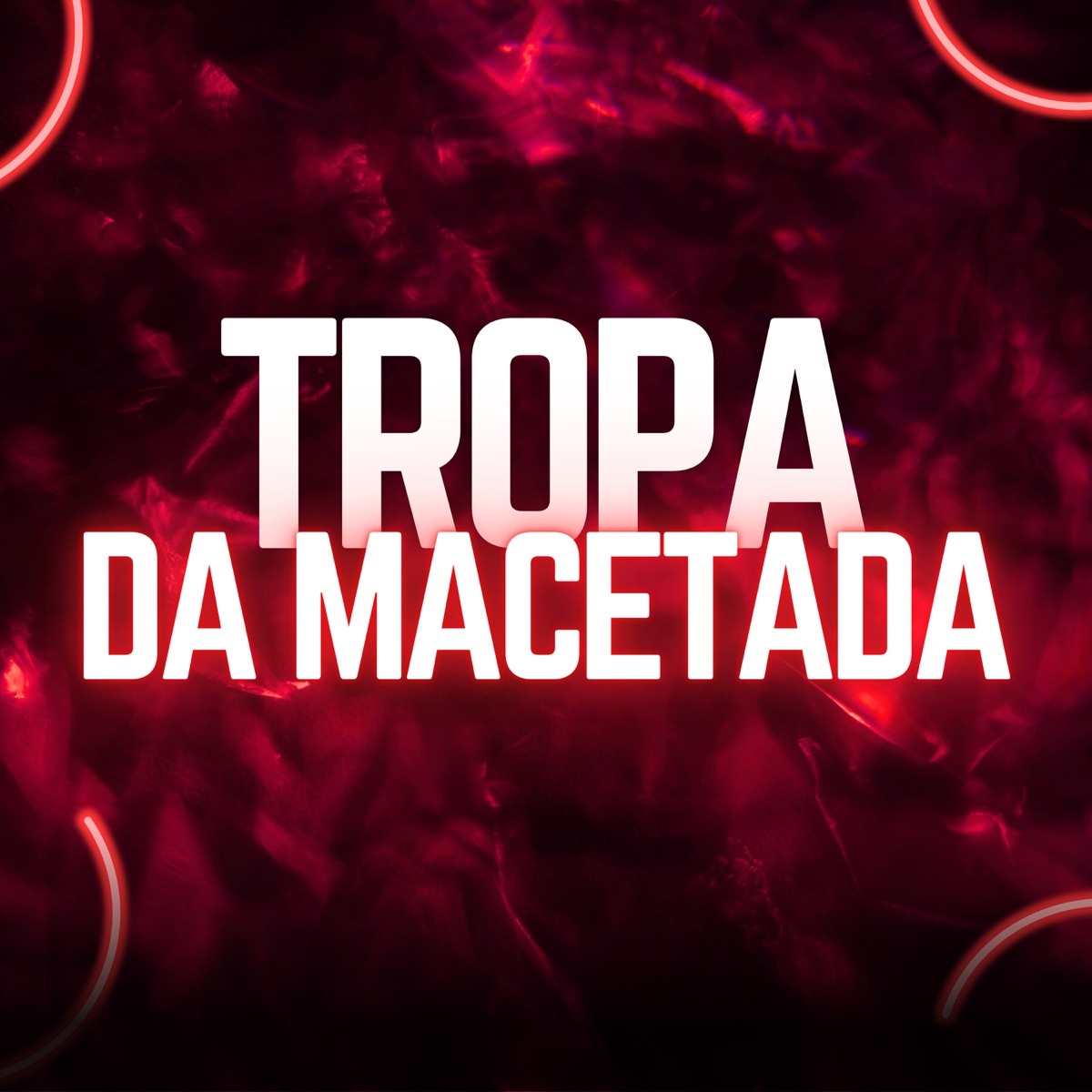 Tropa da Macetada (feat. MC Paulinho Original & BI7I4) - Single by HL NO BEAT, Mc Rd & MC Mila album cover
