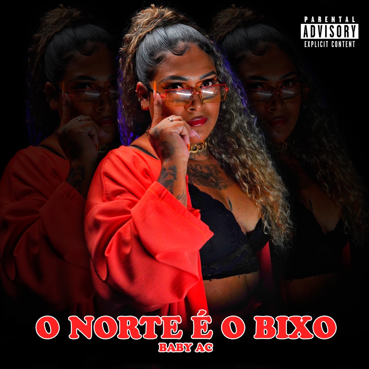 O Norte É o Bixo - Single by Baby AC & DJ WKILLA album cover