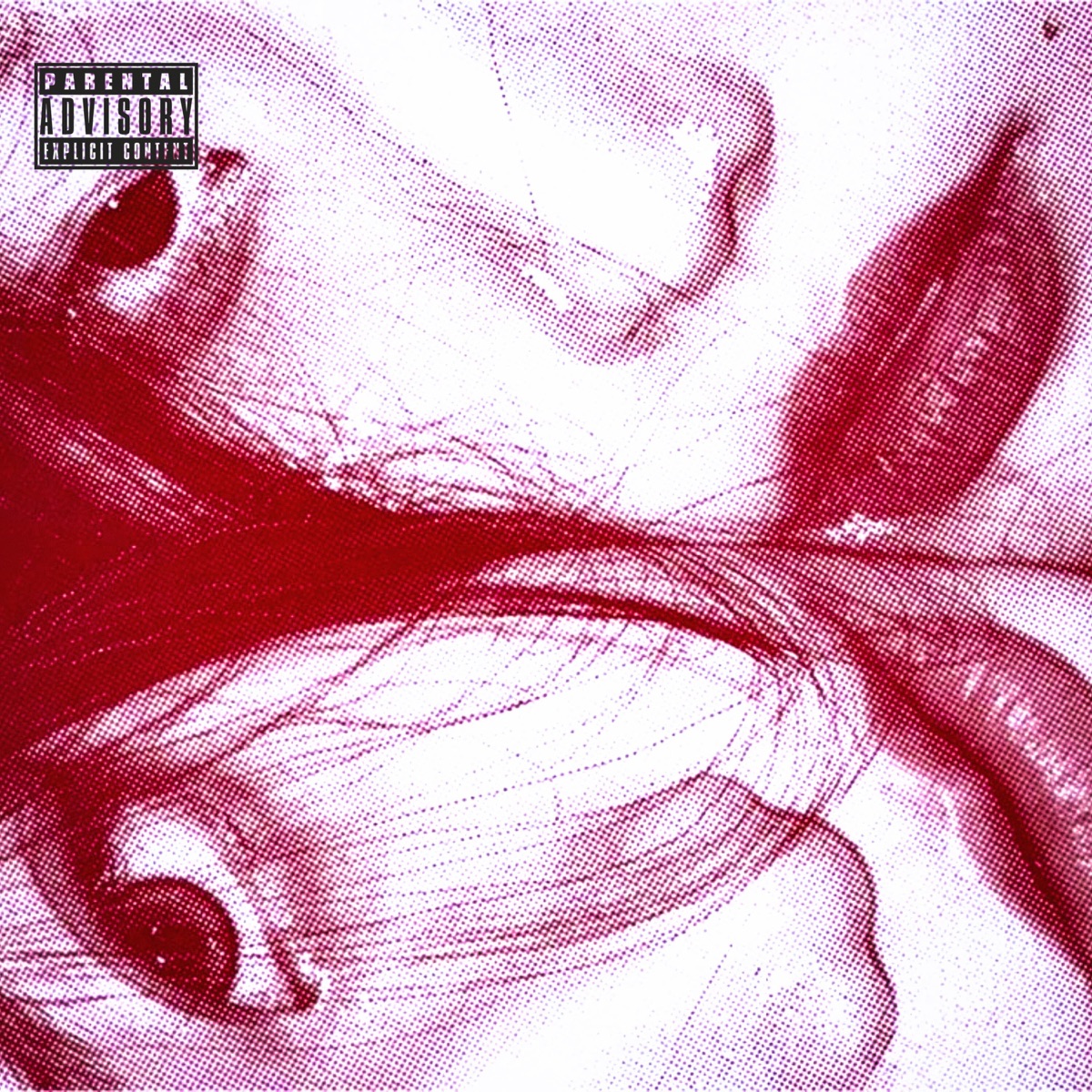 VENEZU (feat. sann & Jossant) - Single by Kyoto album cover