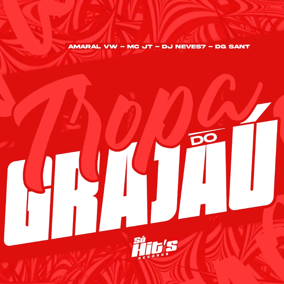 Tropa do Grajau - Single by DJ NEVES7, DG SANT, Amaral VW & MC JT album cover