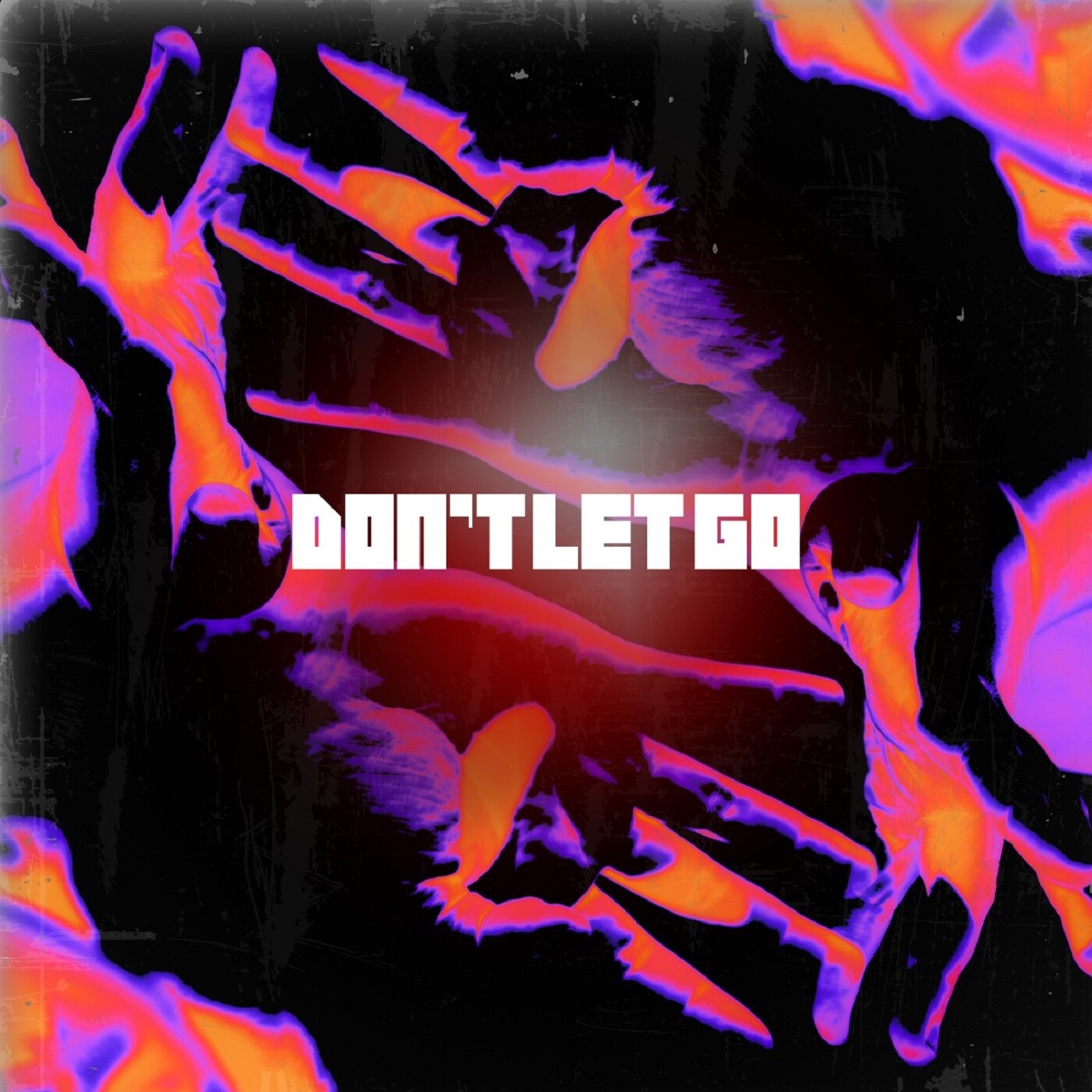 Don't Let Go - Single by Lesgo 966 album cover