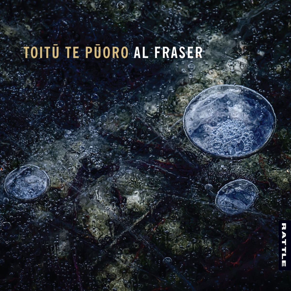 Toitu Te Puoro by Al Fraser album cover