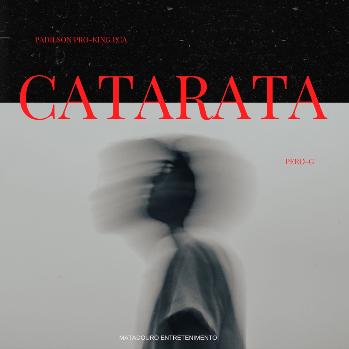 Catarata (feat. Pero G) - Single by Padilson Pro-king Pca album cover
