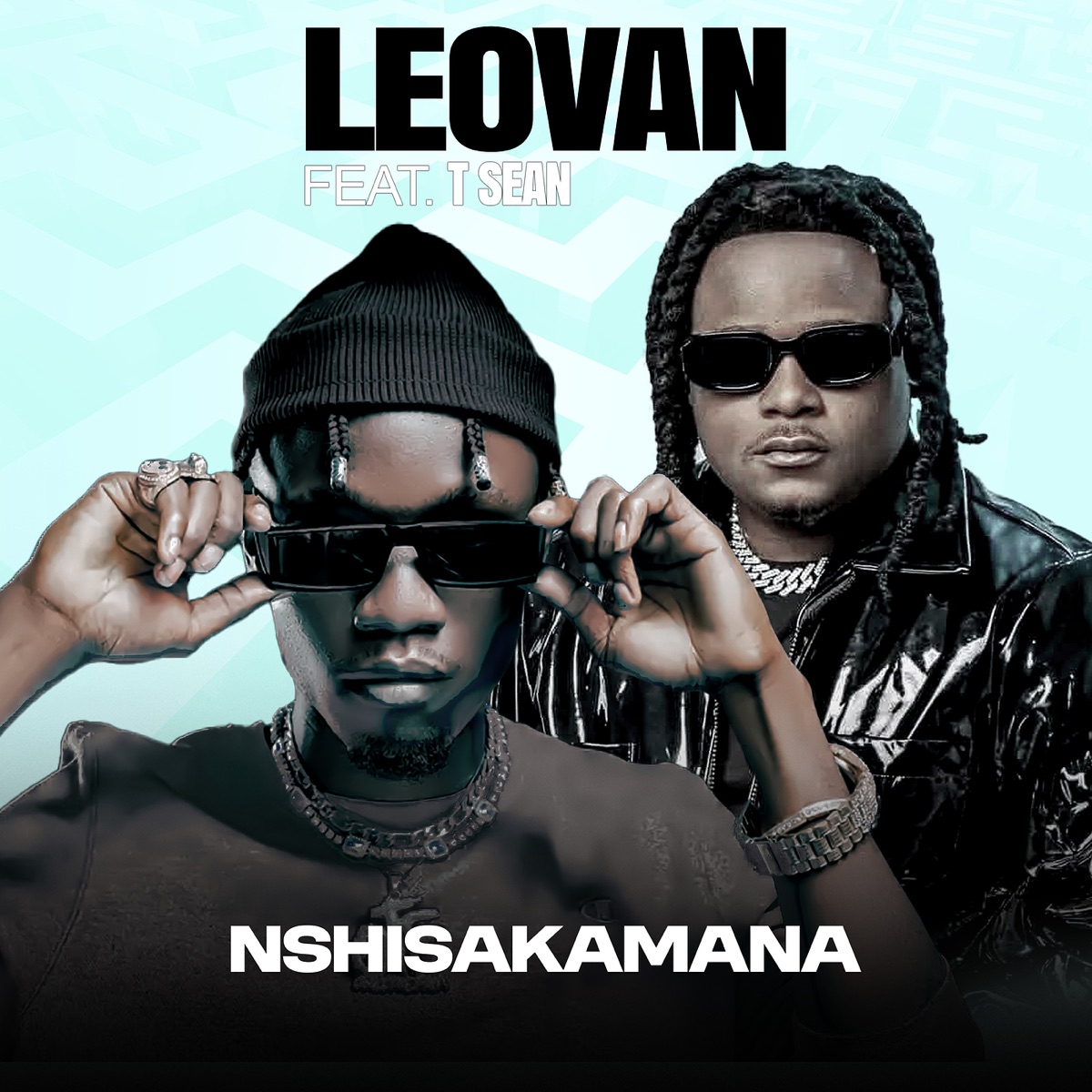 Nshisakamana (feat. T-Sean) - Single by Leovan album cover