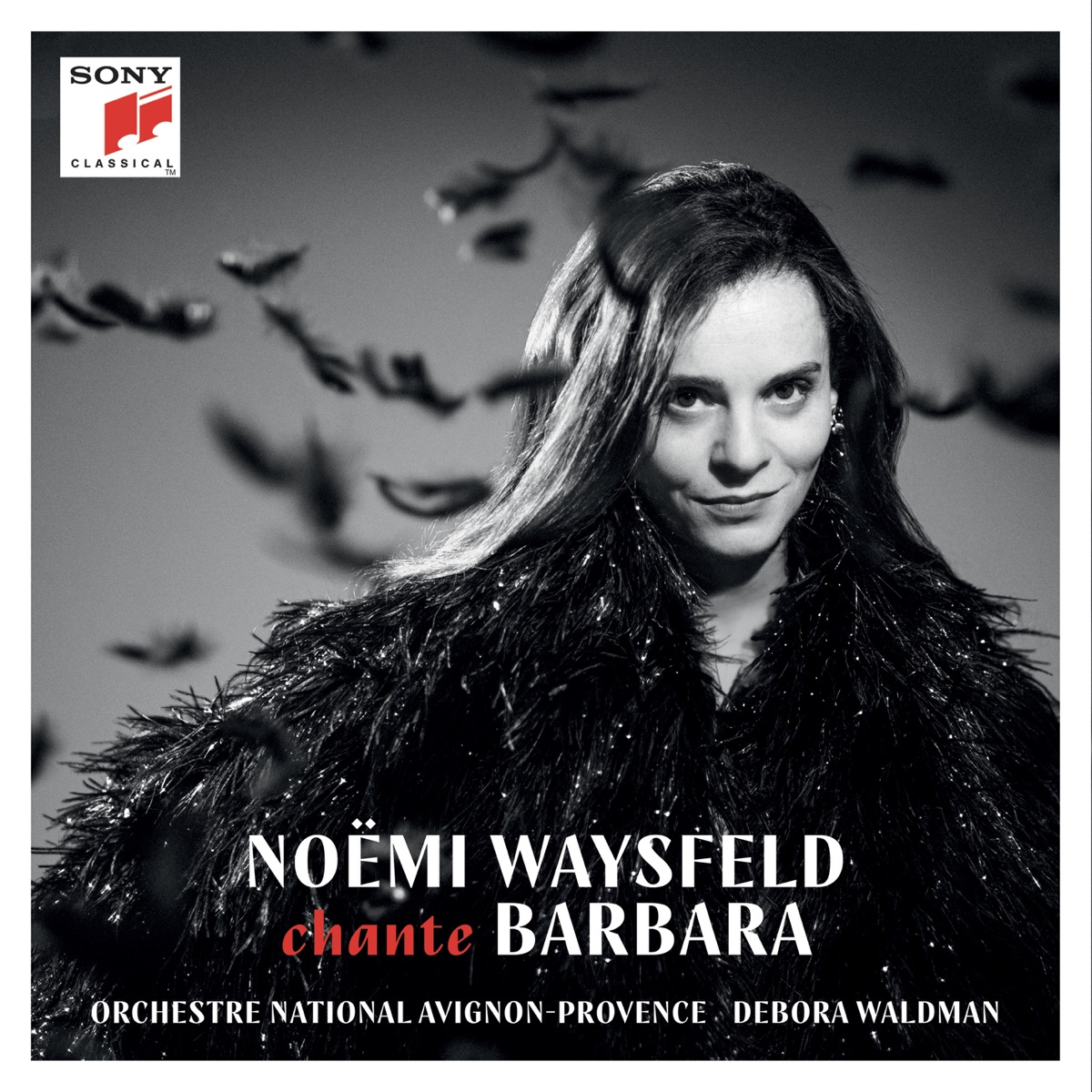 NOËMI WAYSFELD chante BARBARA by Noëmi Waysfeld album cover