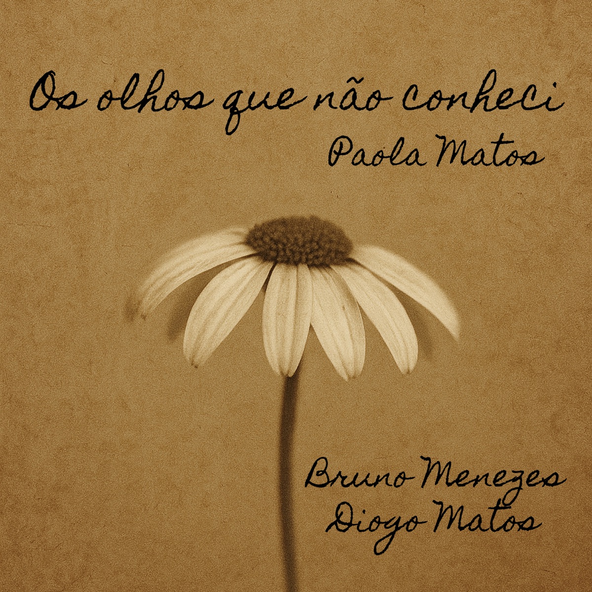 Os Olhos Que Não Conheci - Single by Bruno Seligman de Menezes, Diogo Matos & Paola Matos album cover