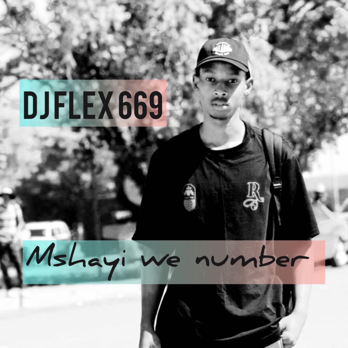 Mshayi we number - Single by Dj Flex669 album cover