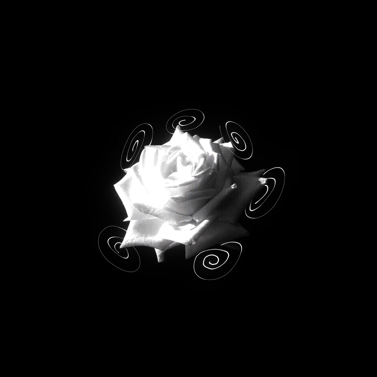 Colhendo Flores - Single by Nekkizinho album cover