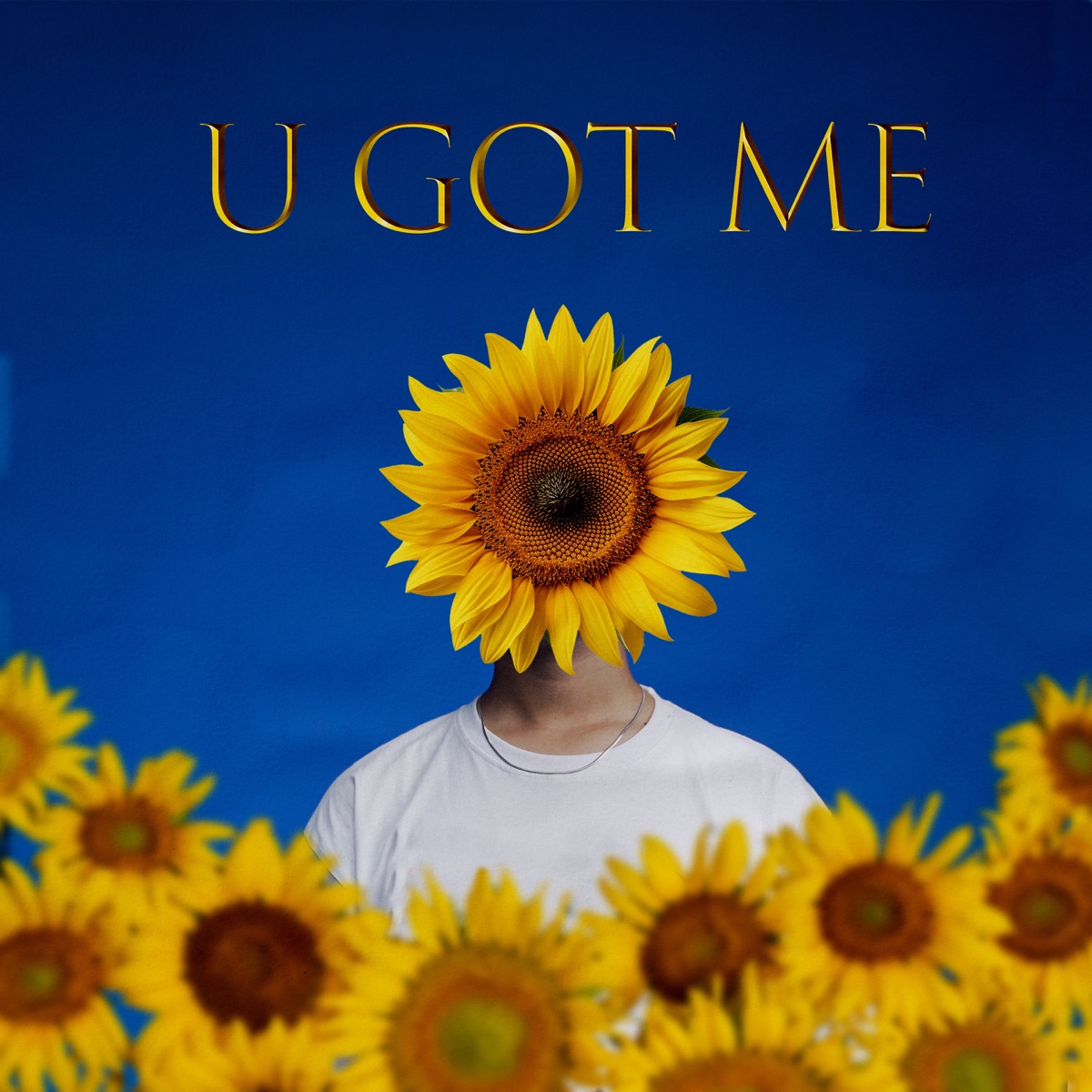 U GOT ME - Single by Jexodius, Boysyaka & Levnx album cover