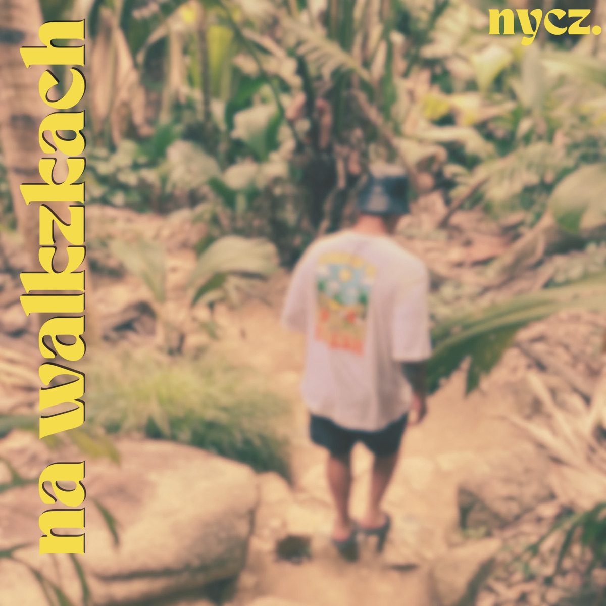 Na walizkach - Single by Nycz album cover