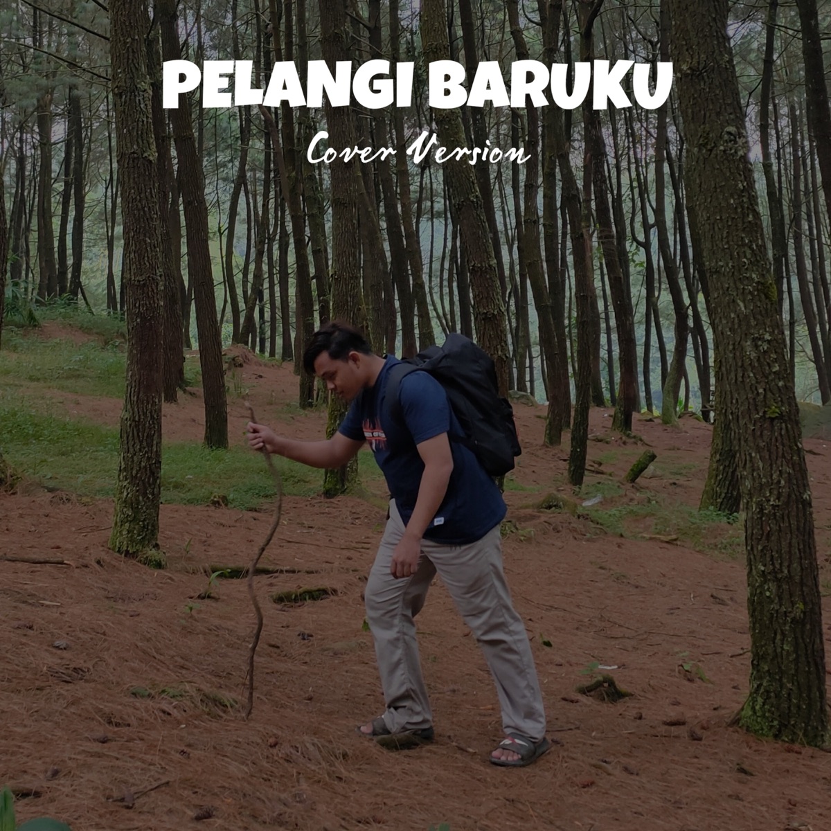 PELANGI BARUKU - Single by Salim album cover
