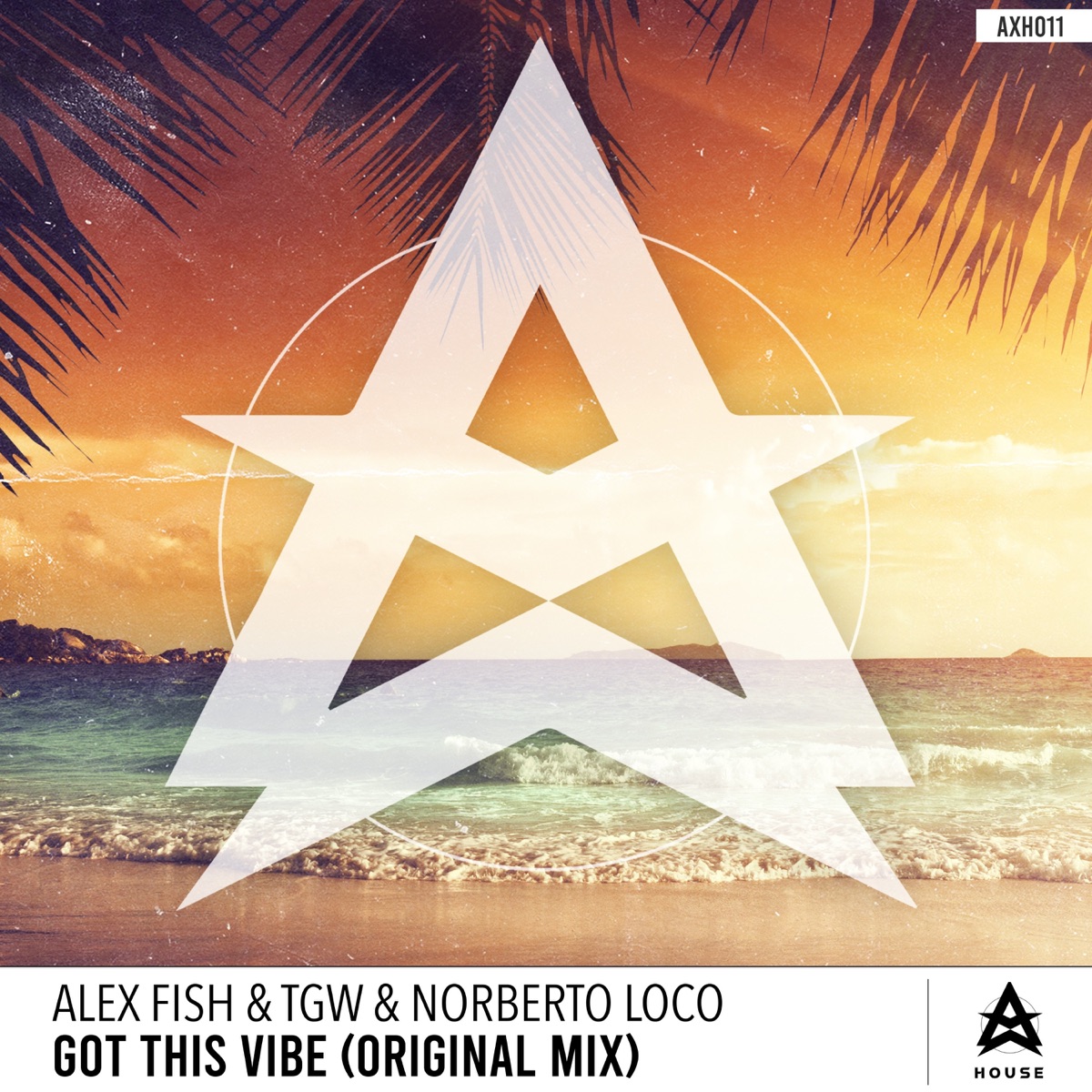 Got This Vibe - Single by Alex Fish, TGW & Norberto Loco album cover
