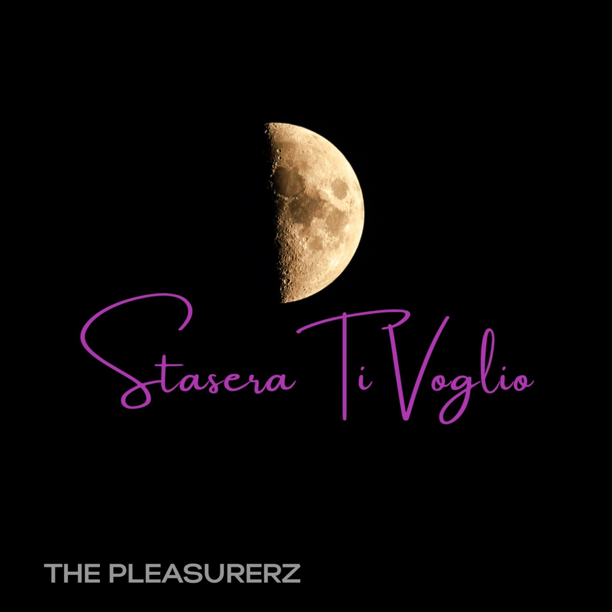 Stasera Ti Voglio - Single by The Pleasurerz album cover