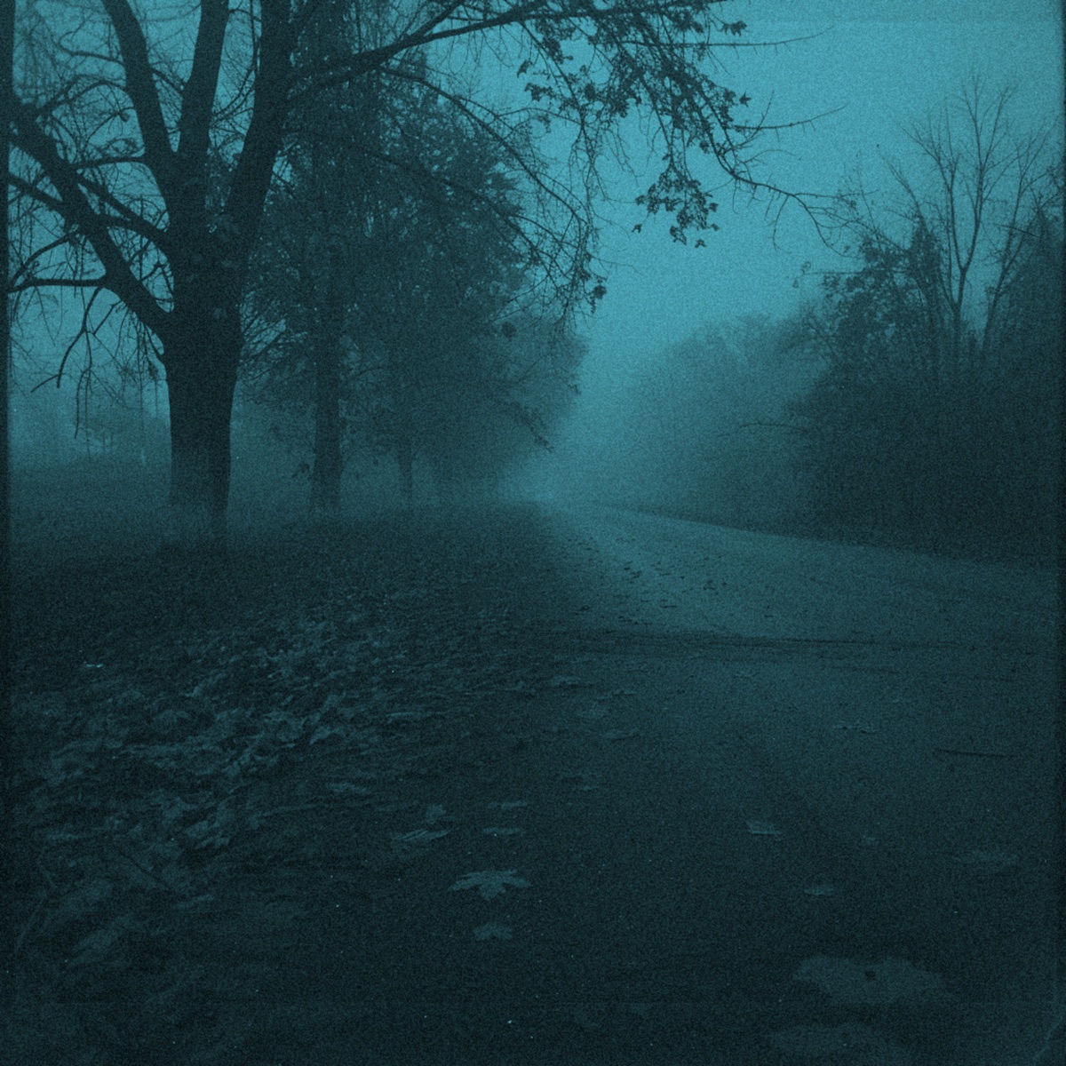 last summer - Single by Axtreon & fauleriij album cover
