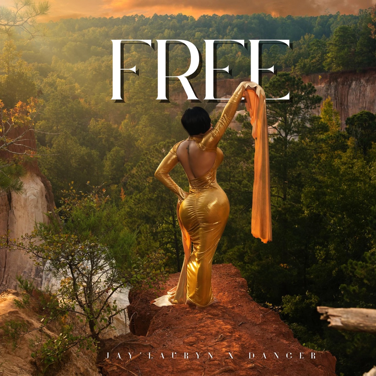 FREE (feat. Danger & Dj KidyLax) - Single by Jay'Lauryn album cover