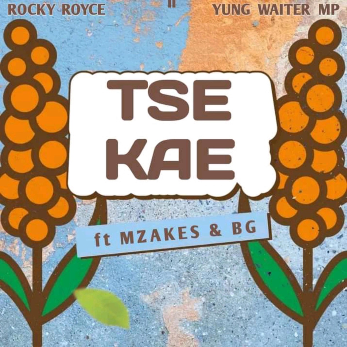 Tse Kae (feat. Rocky Royce, Mzakes & BG) - Single by Yung Waiter MP album cover