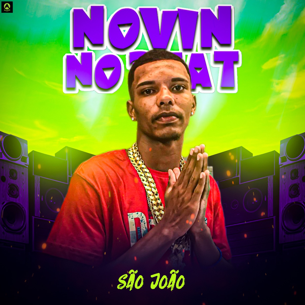 São João (feat. Mc Pedrinho Da RDB & MC ARTHURZINHO) - Single by Novin No Beat & DJ GUH Da RDB album cover