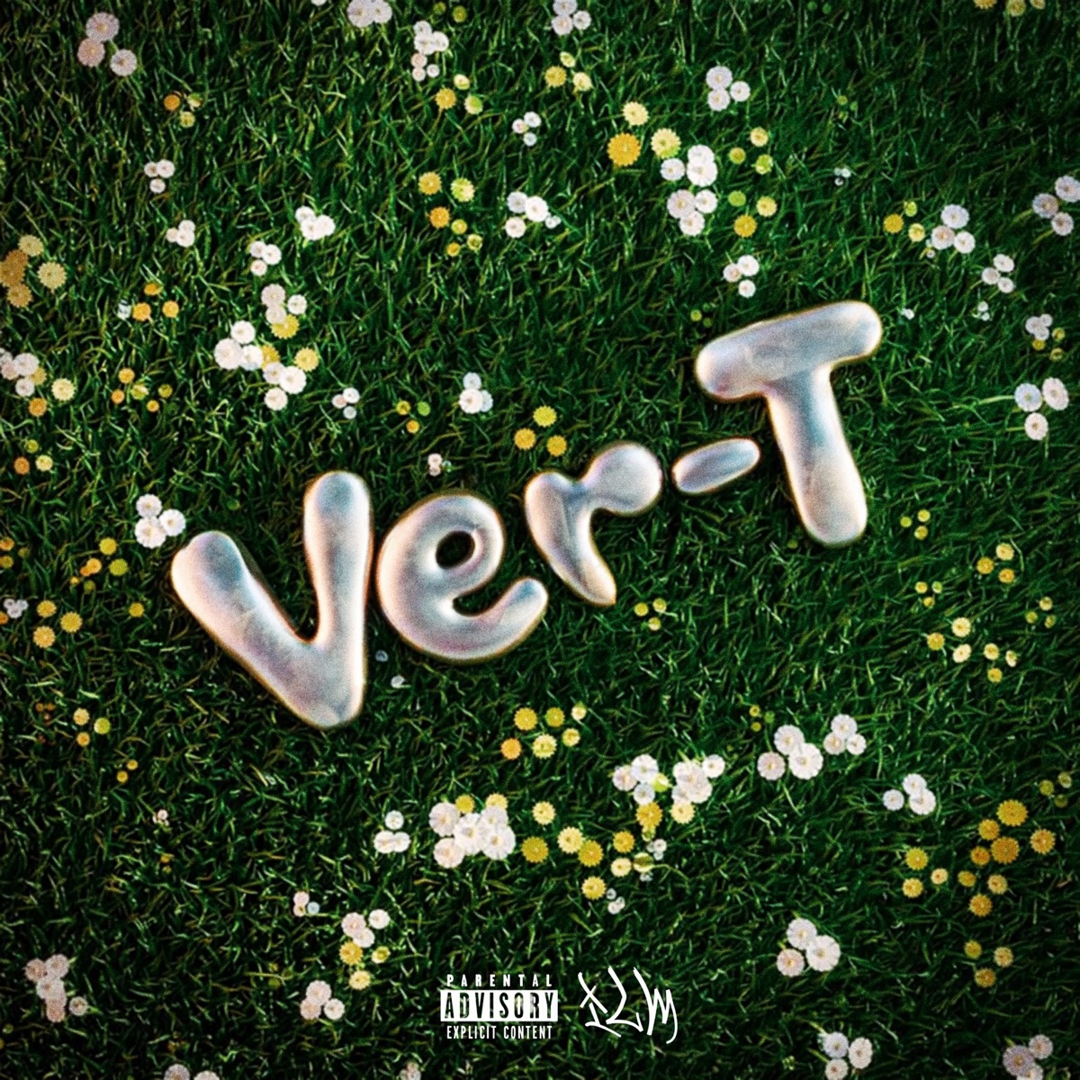 Ver-T - Single by LEGY album cover