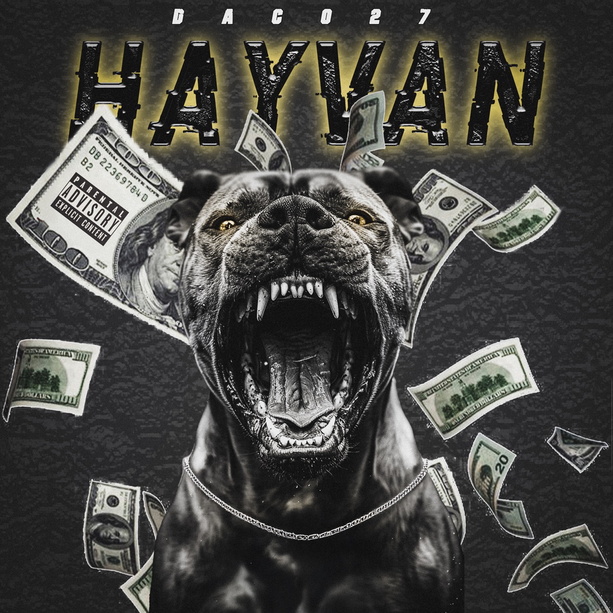 Hayvan - Single by Daco27 album cover