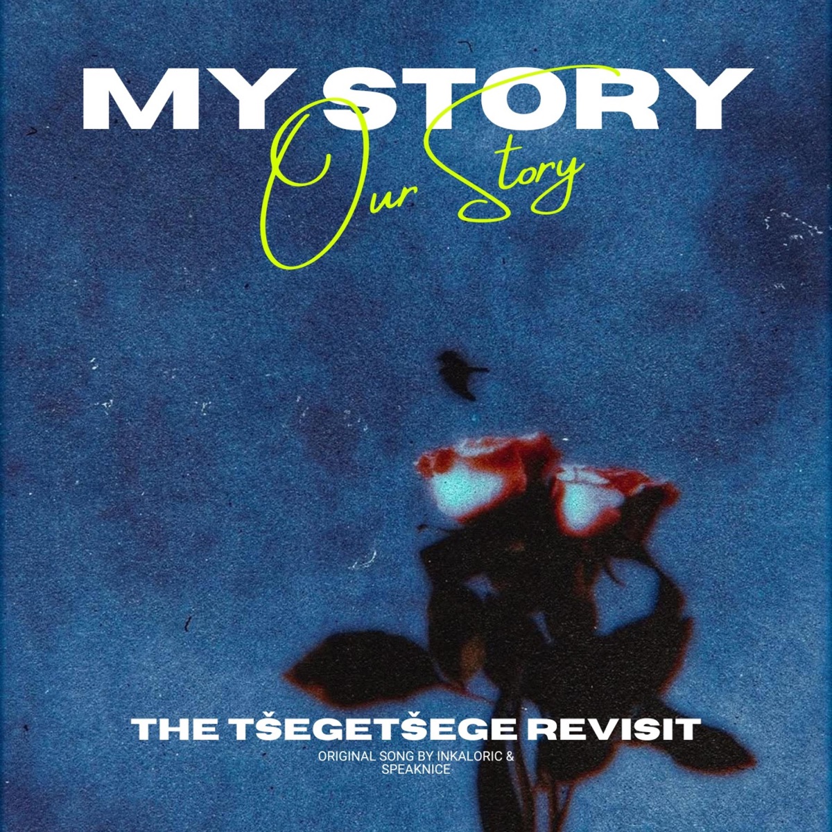 My Story (Our Story) (feat. SpeakNice & InKaloric) - Single by Tšegetšege album cover
