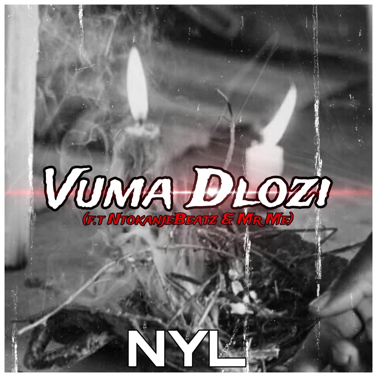 Vuma Dlozi (feat. NtokanjeBeatz & Mr Me) - Single by NYL album cover