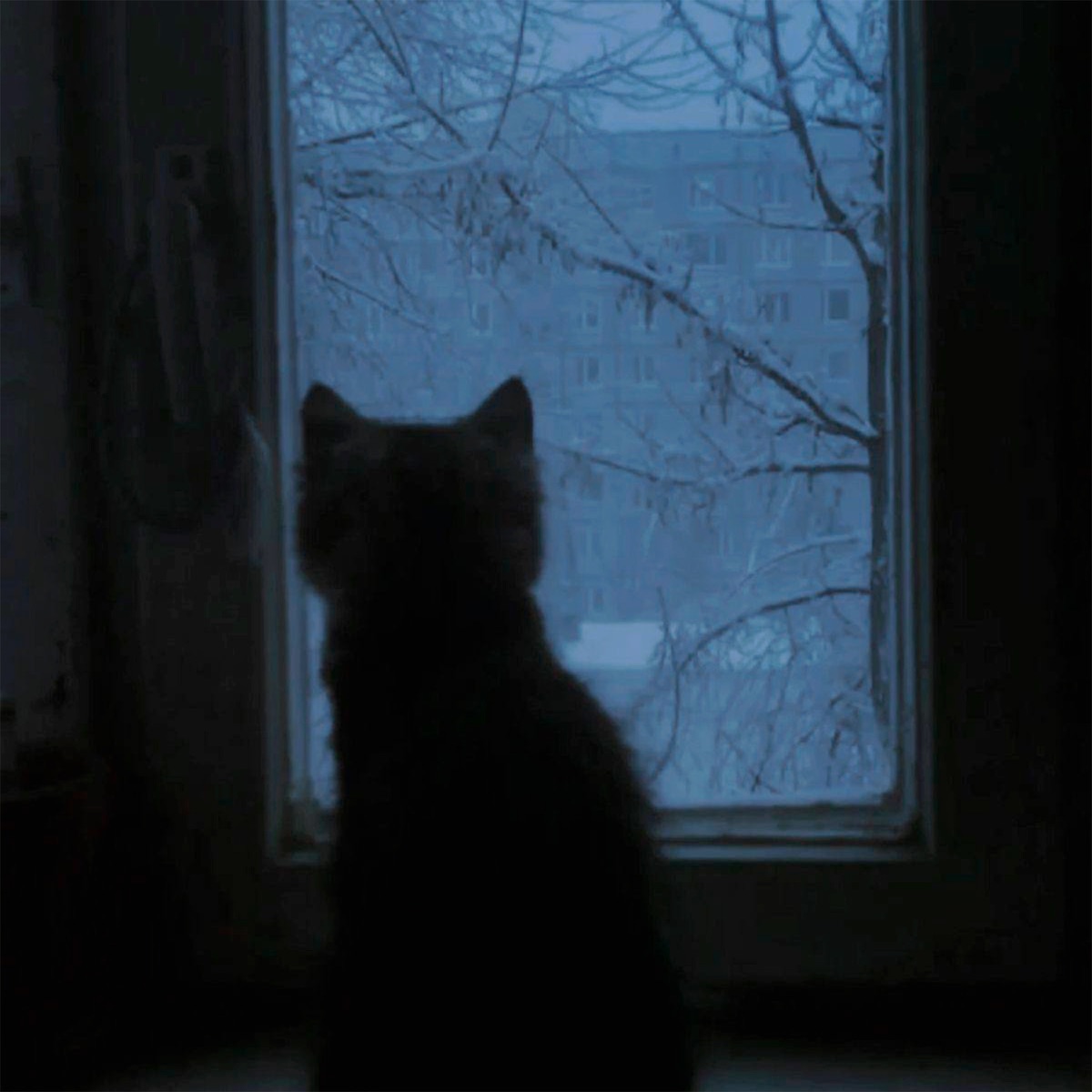 forget my name - Single by ambient.wav album cover