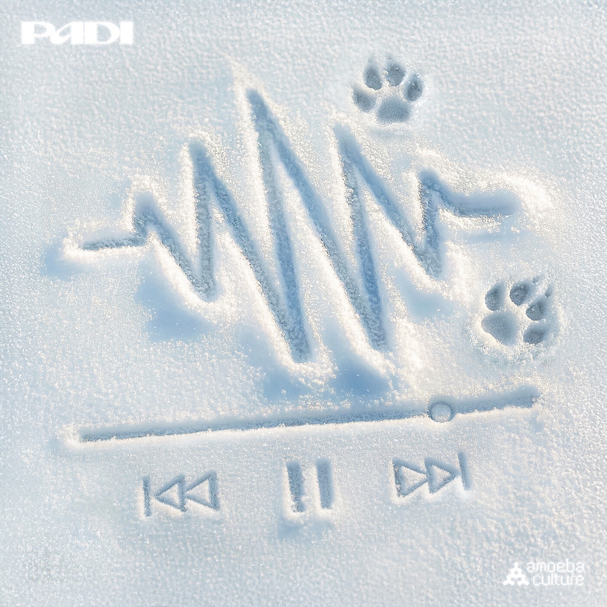 Press Winter - EP by Padi album cover