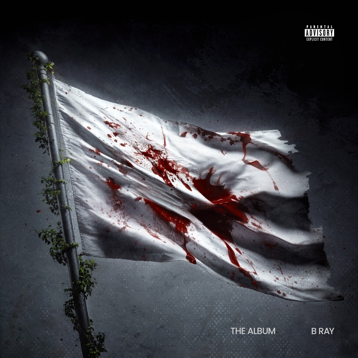 Cho Bảo by B Ray album cover