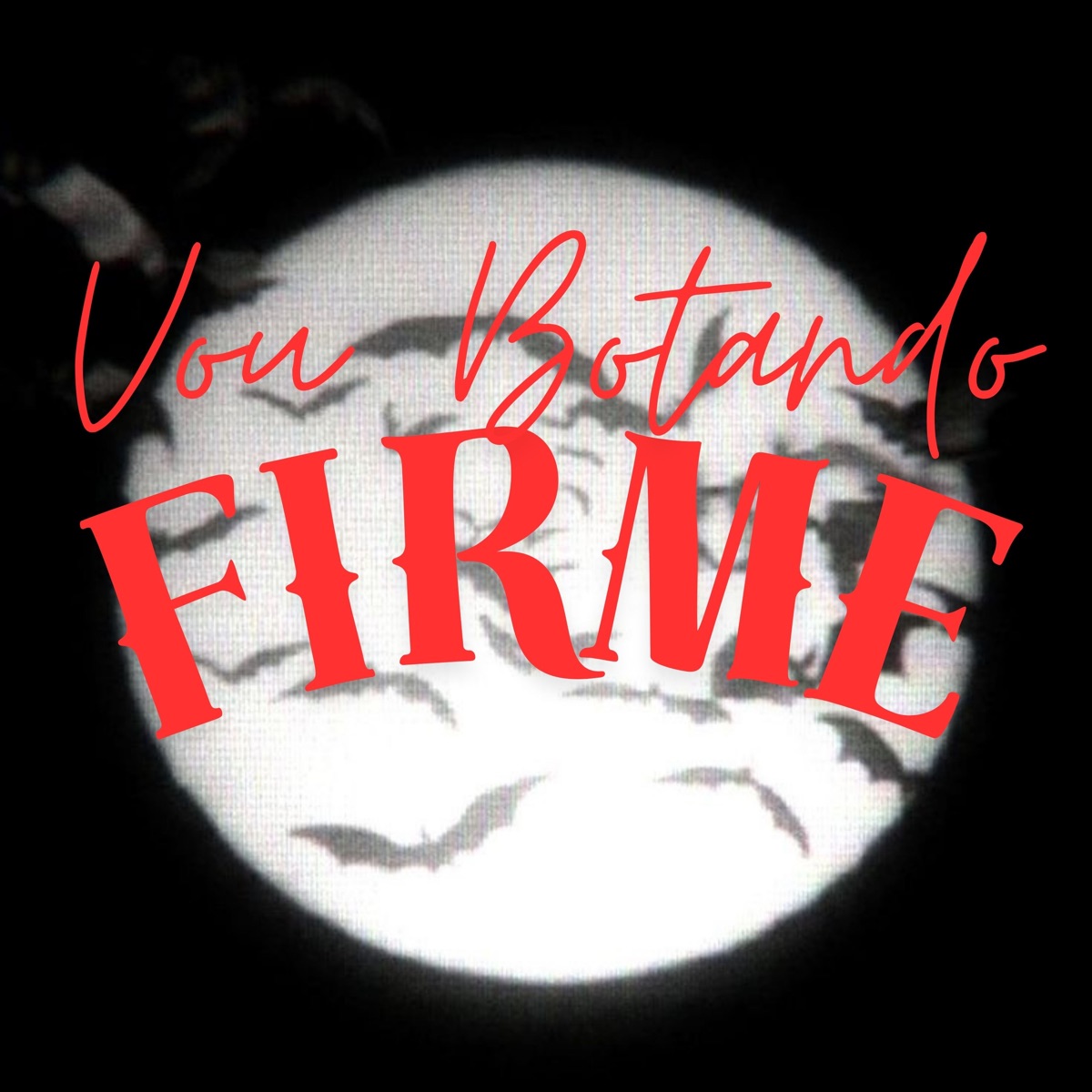 Vou Botando Firme (feat. Mc Brenin CS & MC Vinny da TR) - Single by Dj Dg Do Rb, DJ JR Oficial & Mc Gw album cover