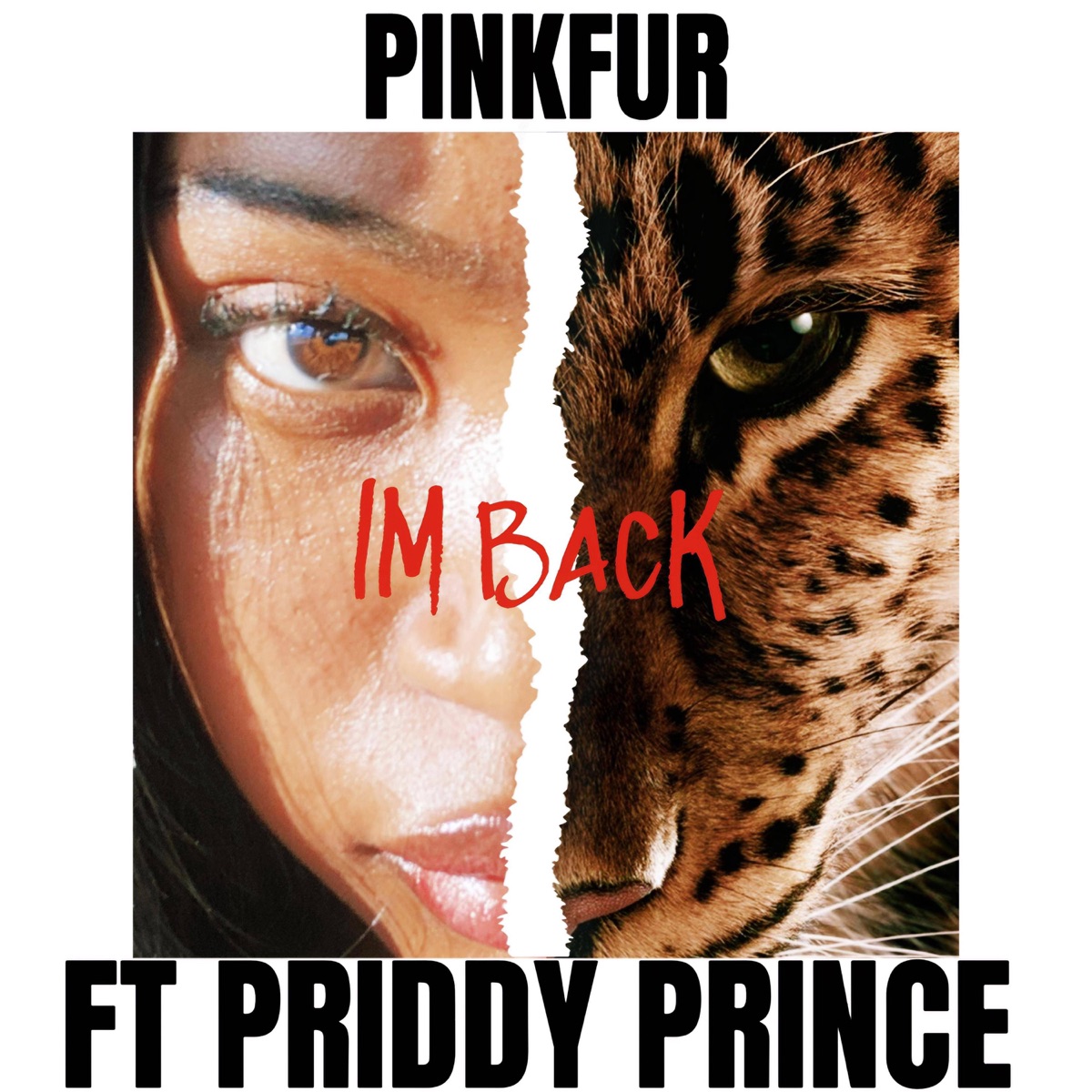 Im Back (feat. Priddy Prince) - Single by PinkFur album cover