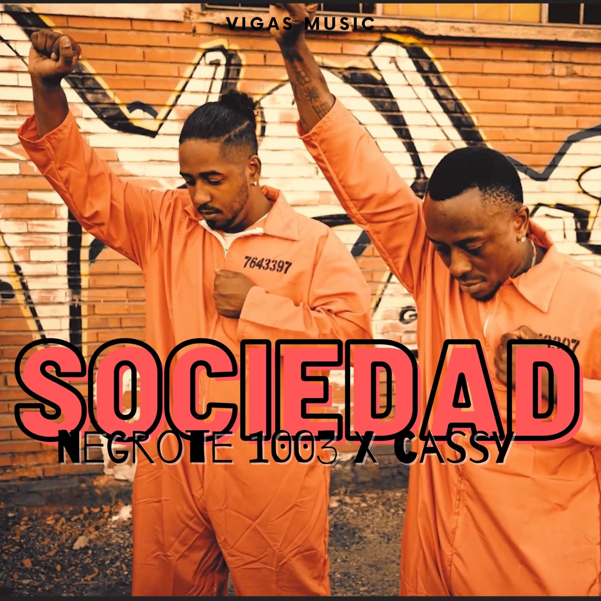 Sociedad - Single by Negrote 1003 & Cassy album cover