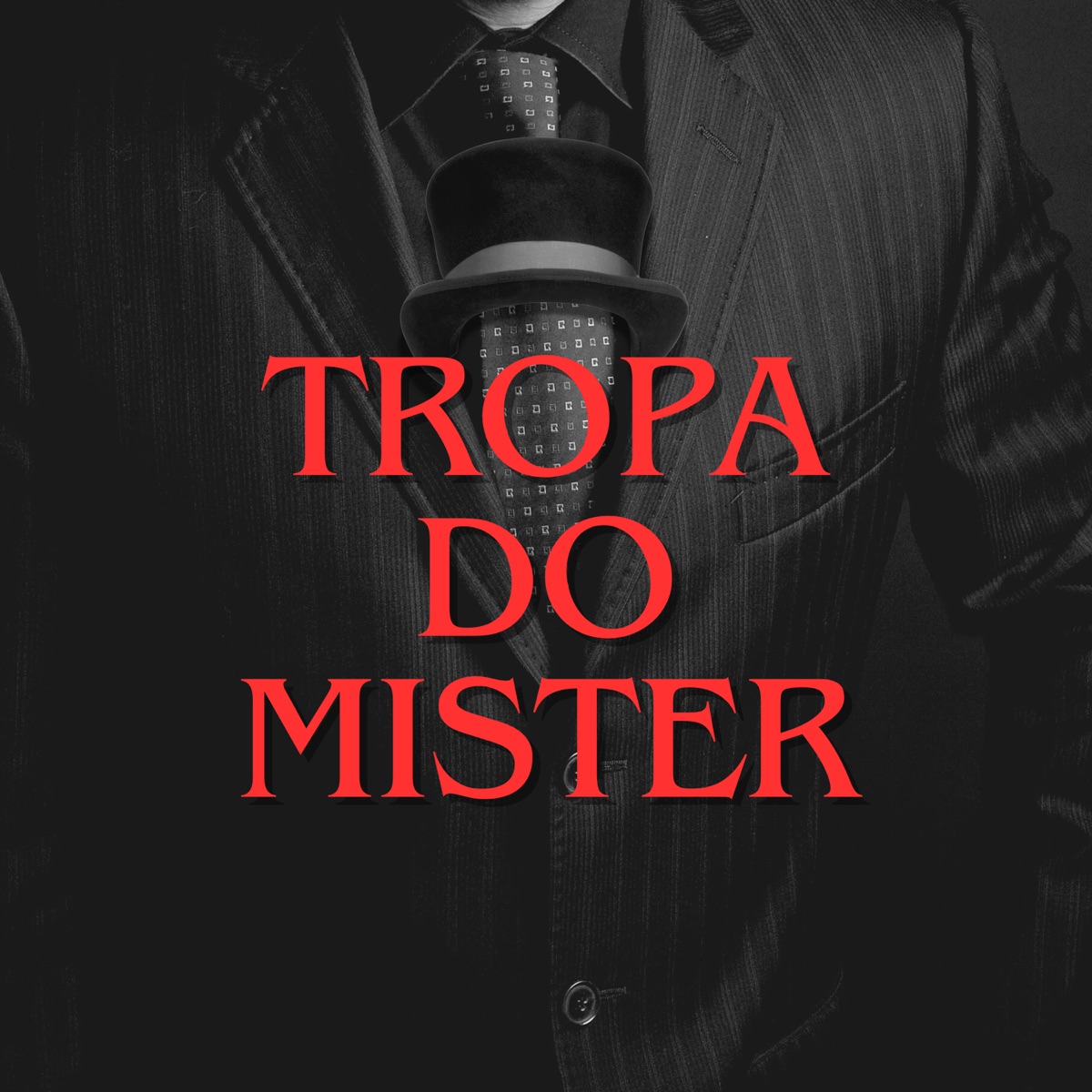 Tropa do Mister (feat. Mc Brisola) - Single by Dj Salgueirinho, DOIXDÊ & Dj Gordynho album cover