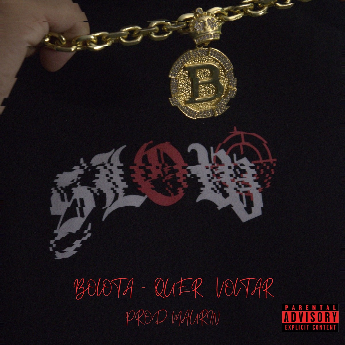 Quer Voltar - Single by Bolota & Maurin album cover