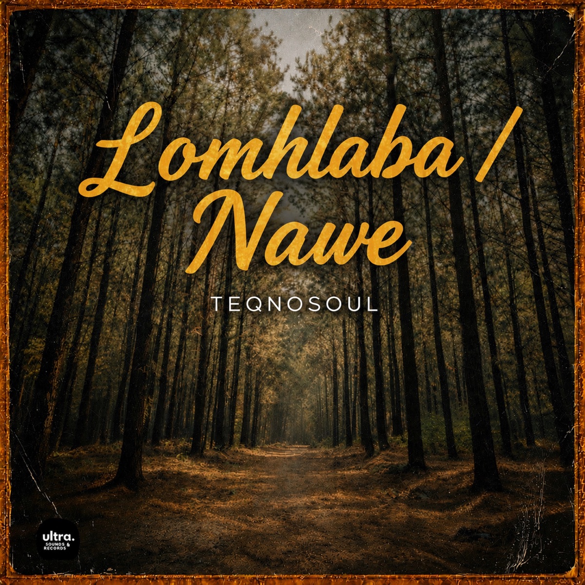 Lomhlaba / Nawe - Single by Teqnosoul album cover