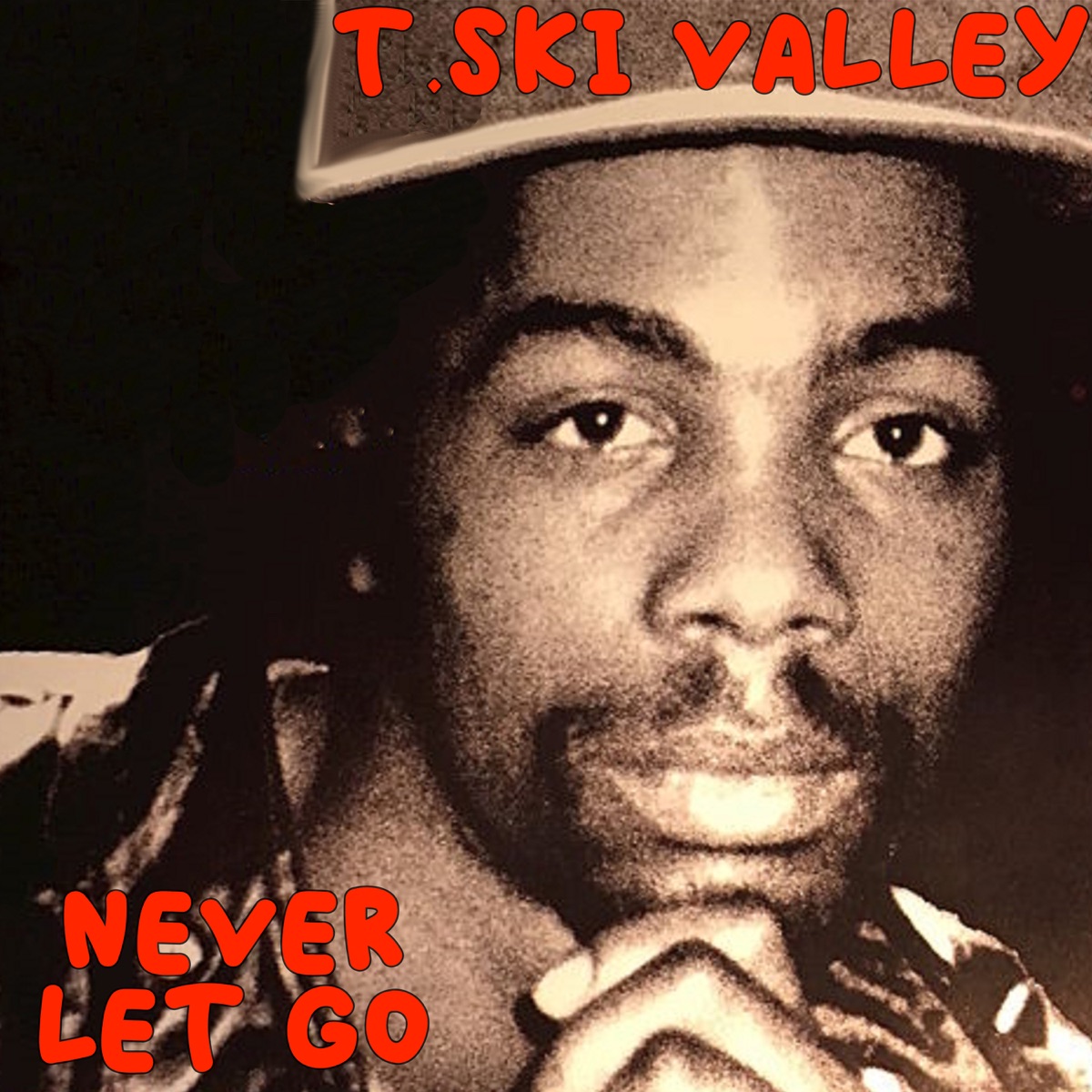 Never Let Go - Single by T SKI VALLEY album cover