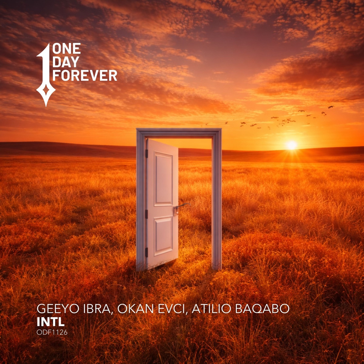 Intl - Single by Geeyo Ibra, Okan Evci & Atilio Baqabo album cover