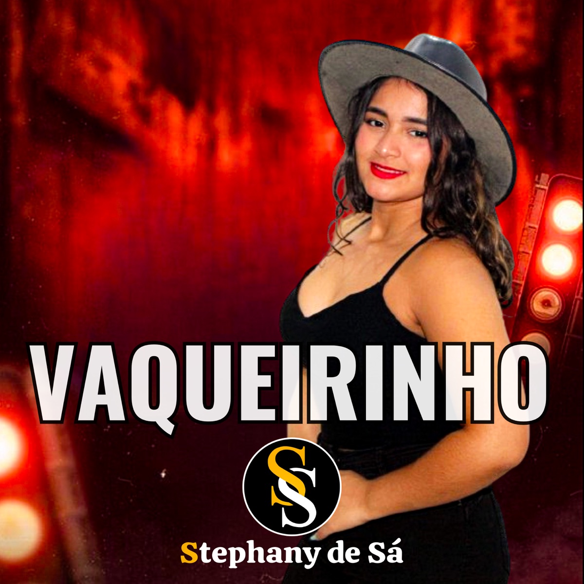 Vaqueirinho - Single by Stephany de Sá album cover