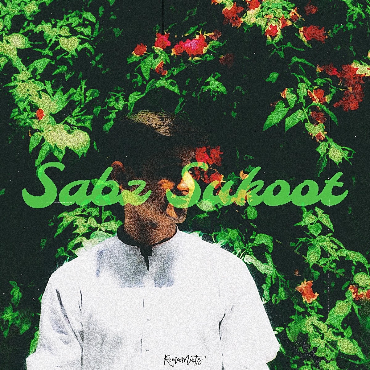 Sabz Sukoot - Single by RomeoMints album cover
