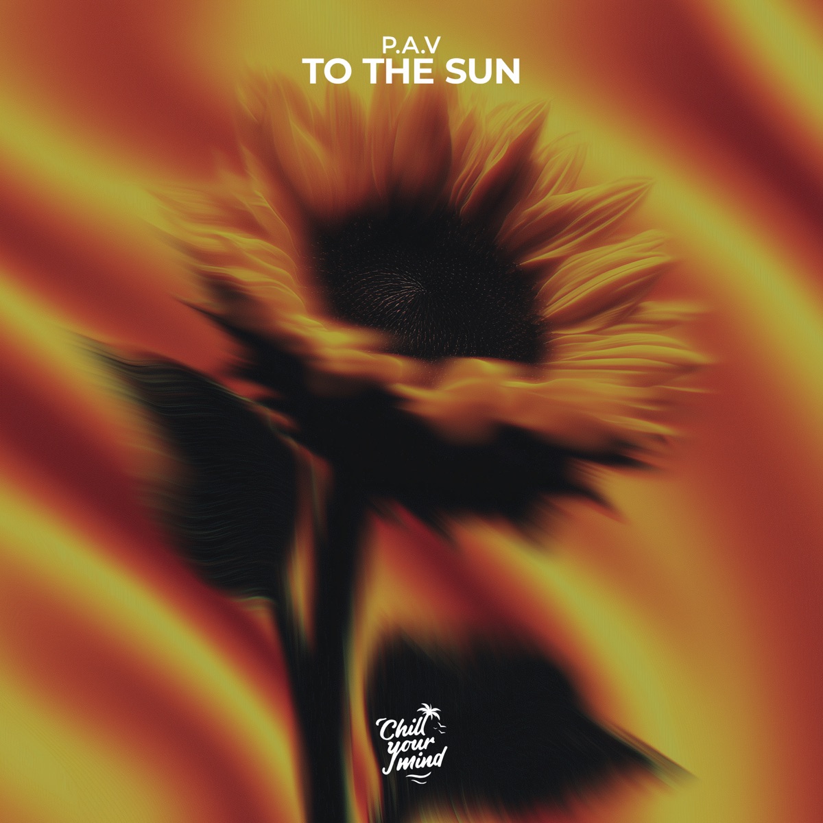 To the Sun - Single by P.A.V album cover