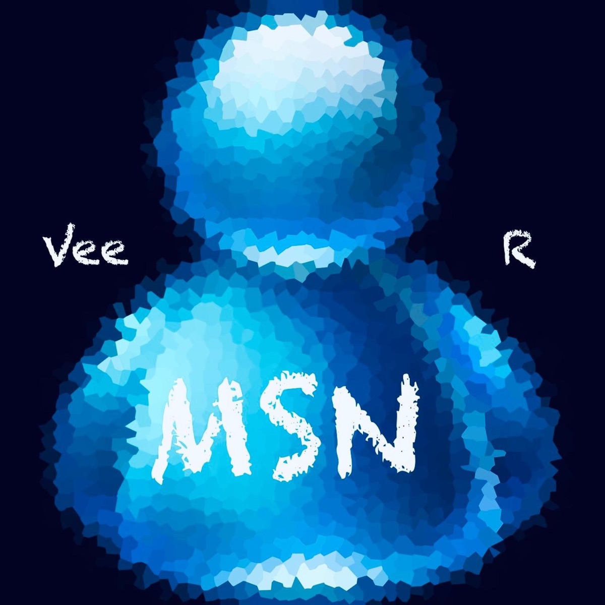 MSN - Single by Vee R album cover