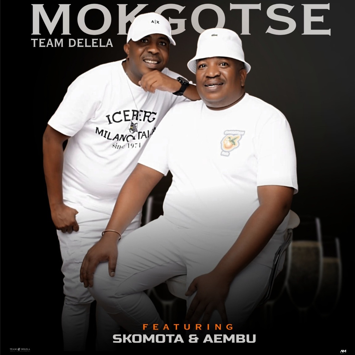 Mokgotse (feat. Aembu & Skomota) - Single by Team Delela album cover