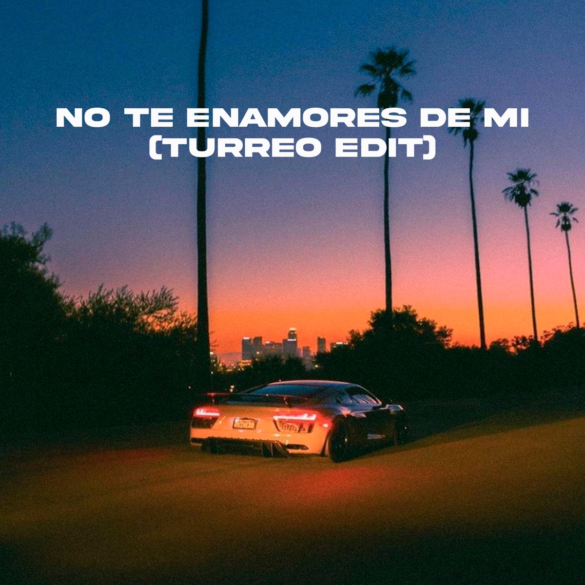 No Te Enamores De Mi (Turreo Edit) - Single by Chichee, DJ Pirata & DJ Cuba album cover