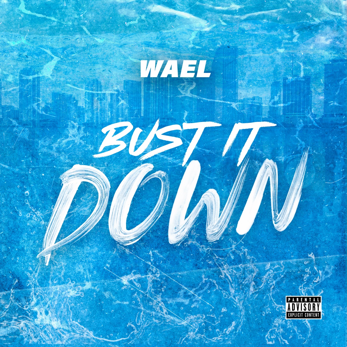 Bust It Down - Single by Wael album cover