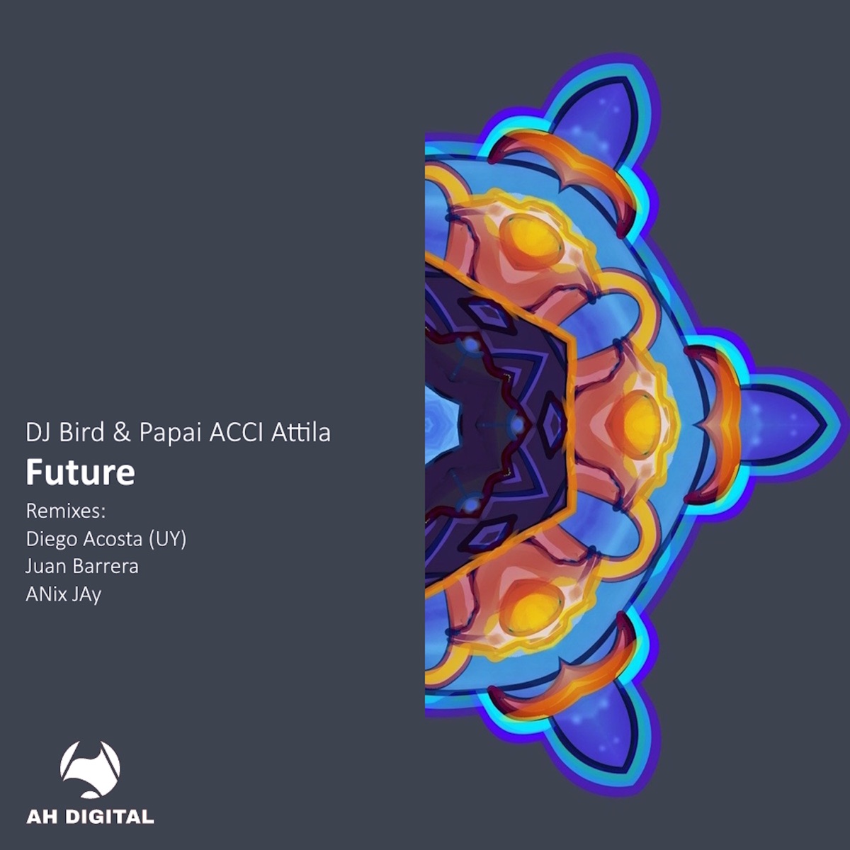 Future (ANix JAy Remix) - Single by DJ Bird & Papai ACCI Attila album cover