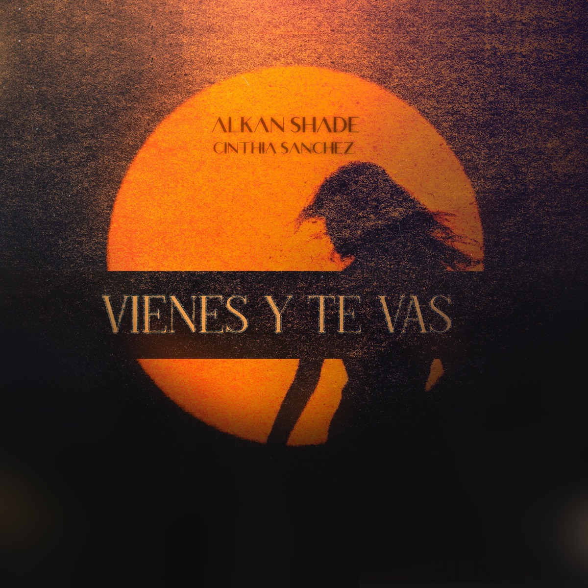 Vienes Y Te Vas (feat. Cinthia Sánchez) - Single by Alkan Shade album cover